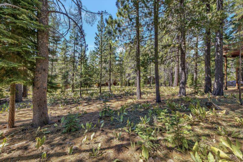 Image for 11884 Muhlebach Way, Truckee, CA 96161-0000