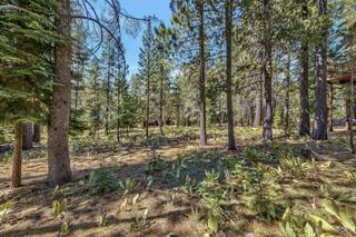 Listing Image 1 for 11884 Muhlebach Way, Truckee, CA 96161-0000