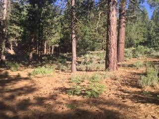 Listing Image 1 for 11301 China Camp Road, Truckee, CA 96161