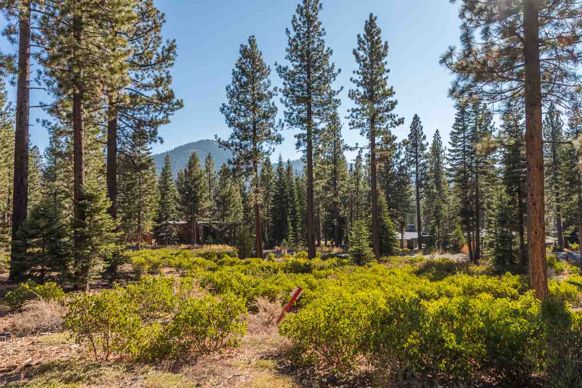 Image for 8233 Valhalla Drive, Truckee, CA 96161