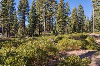 Listing Image 3 for 8233 Valhalla Drive, Truckee, CA 96161