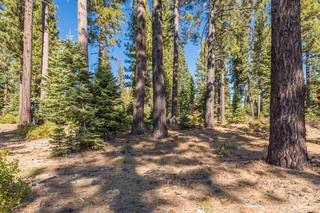 Listing Image 4 for 8233 Valhalla Drive, Truckee, CA 96161