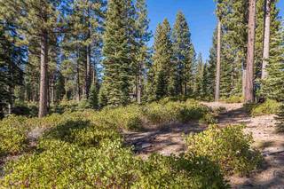 Listing Image 5 for 8233 Valhalla Drive, Truckee, CA 96161