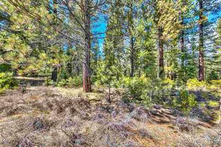 Listing Image 8 for 11850 Bottcher Loop, Truckee, CA 96161-2792