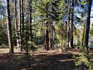Listing Image 1 for 14167 Swiss Lane, Truckee, CA 96161-7130