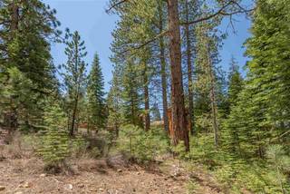 Listing Image 14 for 10336 Palisades Drive, Truckee, CA 96161