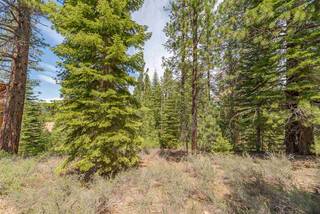 Listing Image 18 for 10336 Palisades Drive, Truckee, CA 96161