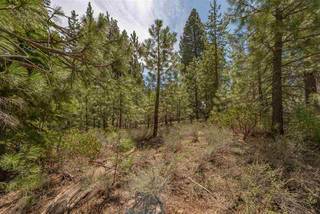 Listing Image 19 for 10336 Palisades Drive, Truckee, CA 96161