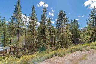 Listing Image 1 for 10275 Donner Lake Road, Truckee, CA 96161