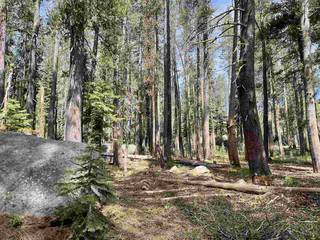 Listing Image 1 for 21337 Castle Drive, Soda Springs, CA 95728