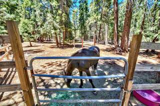 Listing Image 21 for 10974 Beacon Road, Truckee, CA 96161-0000