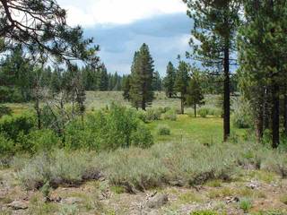 Listing Image 1 for 13207 Snowshoe Thompson, Truckee, CA 96161