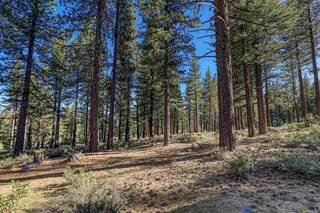 Listing Image 8 for 10576 Brickell Court, Truckee, CA 96161