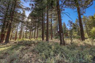 Listing Image 9 for 10576 Brickell Court, Truckee, CA 96161