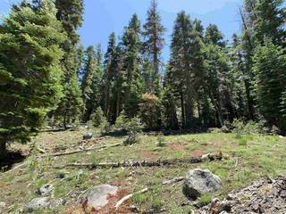 Listing Image 6 for 1445 & 1451 Mineral Springs Trail, Alpine Meadows, CA 94146