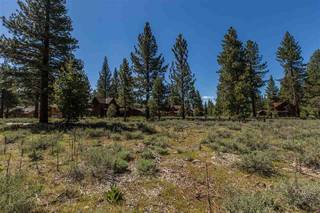 Listing Image 5 for 12506 Caleb Drive, Truckee, CA 96161