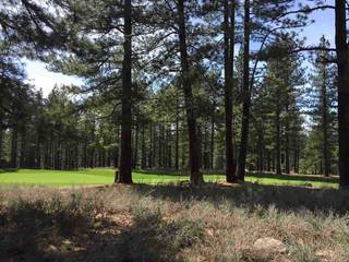 Listing Image 6 for 12506 Caleb Drive, Truckee, CA 96161