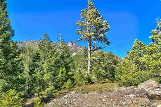 Listing Image 12 for 008-120-029 Sierra Buttes Road, Sierra City, CA 96125