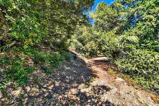 Listing Image 3 for 008-120-029 Sierra Buttes Road, Sierra City, CA 96125