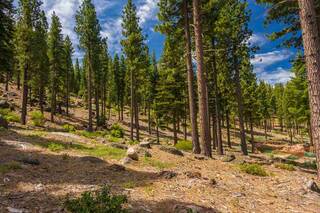 Listing Image 1 for 8124 Fallen Leaf Way, Truckee, CA 96161