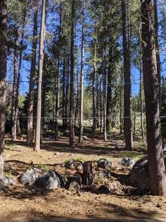 Listing Image 1 for 50404 Conifer Drive, Soda Springs, CA 95728