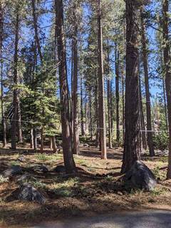 Listing Image 6 for 50404 Conifer Drive, Soda Springs, CA 95728