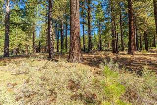 Listing Image 13 for 10551 Brickell Court, Truckee, CA 96161