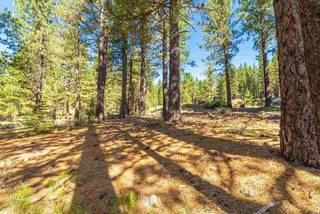 Listing Image 15 for 10551 Brickell Court, Truckee, CA 96161