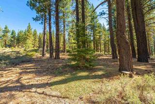 Listing Image 17 for 10551 Brickell Court, Truckee, CA 96161