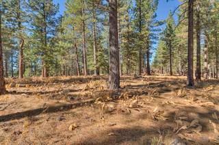 Listing Image 1 for 255 Laura Knight, Truckee, CA 96161
