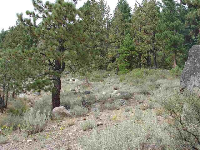 Image for 15036 Reed Avenue, Truckee, CA 96161
