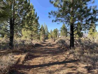 Listing Image 3 for 0 Overland Trails Road, Truckee, CA 96161
