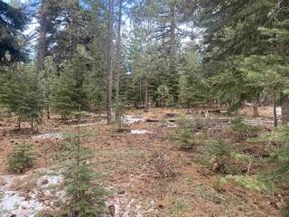 Listing Image 4 for 12864 Peregrine Drive, Truckee, CA 96161