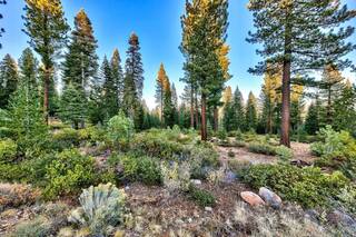 Listing Image 14 for 10948 Olana Drive, Truckee, CA 96161-4286