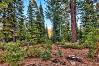 Listing Image 15 for 10948 Olana Drive, Truckee, CA 96161-4286