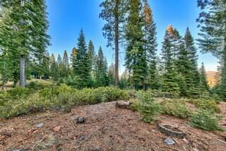 Listing Image 19 for 10948 Olana Drive, Truckee, CA 96161-4286