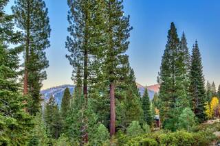 Listing Image 21 for 10948 Olana Drive, Truckee, CA 96161-4286