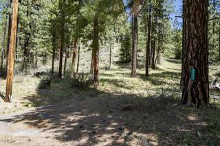 Listing Image 7 for 65431 Highway 70, Blairsden, CA 96103