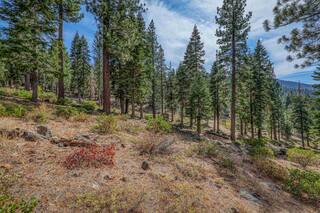 Listing Image 4 for 2645 Mill Site Road, Truckee, CA 96161