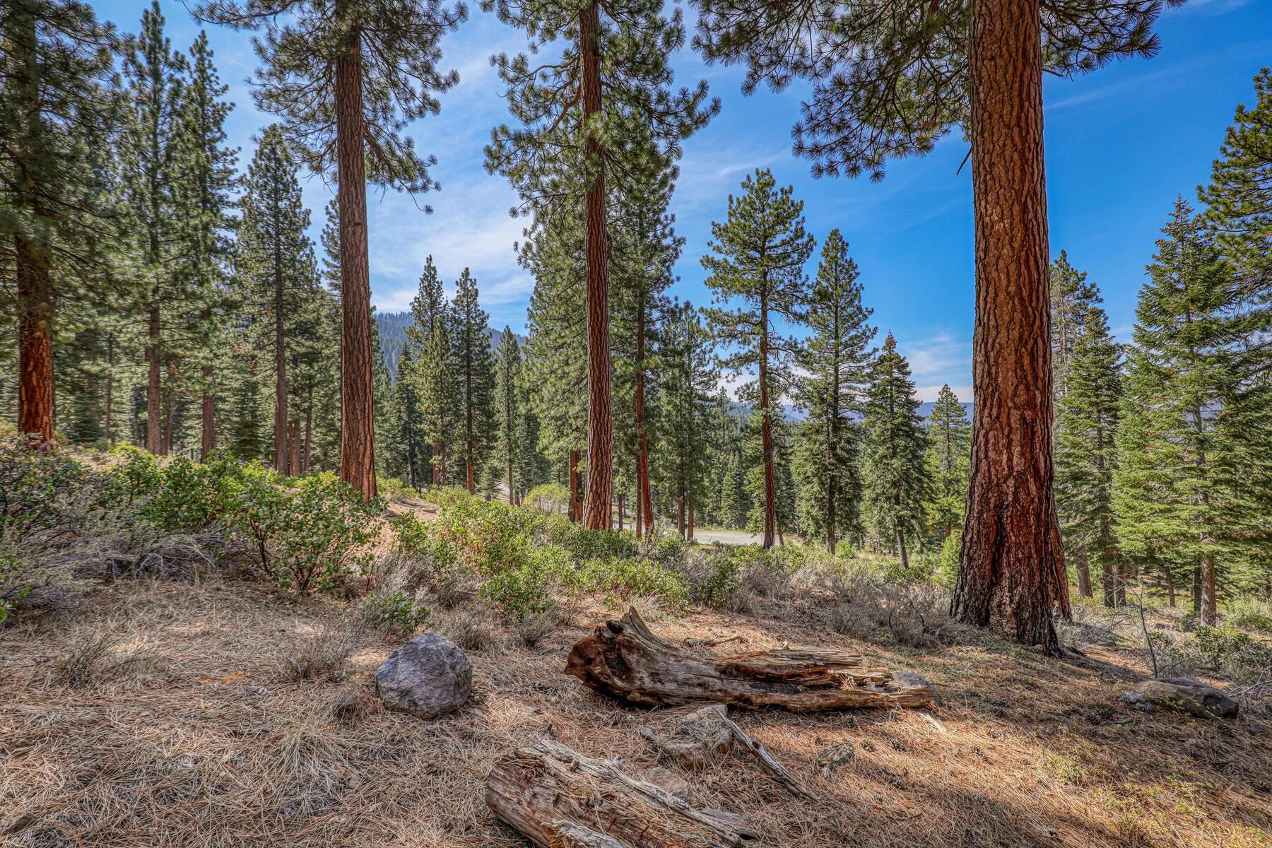 Image for 2790 Cross Cut Court, Truckee, CA 96161