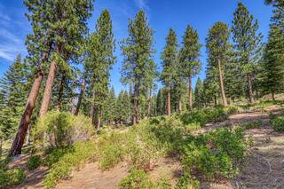 Listing Image 7 for 2790 Cross Cut Court, Truckee, CA 96161