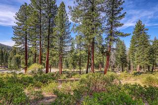 Listing Image 8 for 2790 Cross Cut Court, Truckee, CA 96161