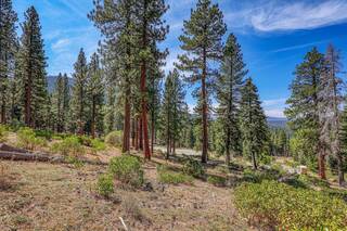 Listing Image 9 for 2790 Cross Cut Court, Truckee, CA 96161