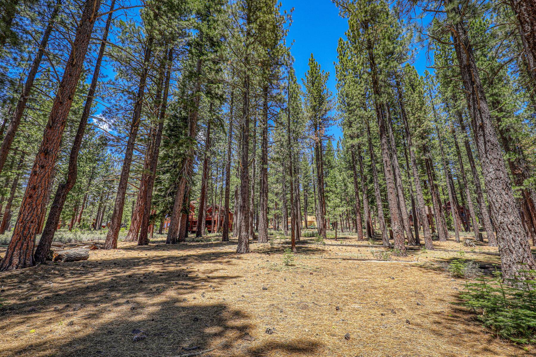 Image for 11584 Kelley Drive, Truckee, CA 96161