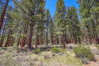 Listing Image 6 for 11584 Kelley Drive, Truckee, CA 96161
