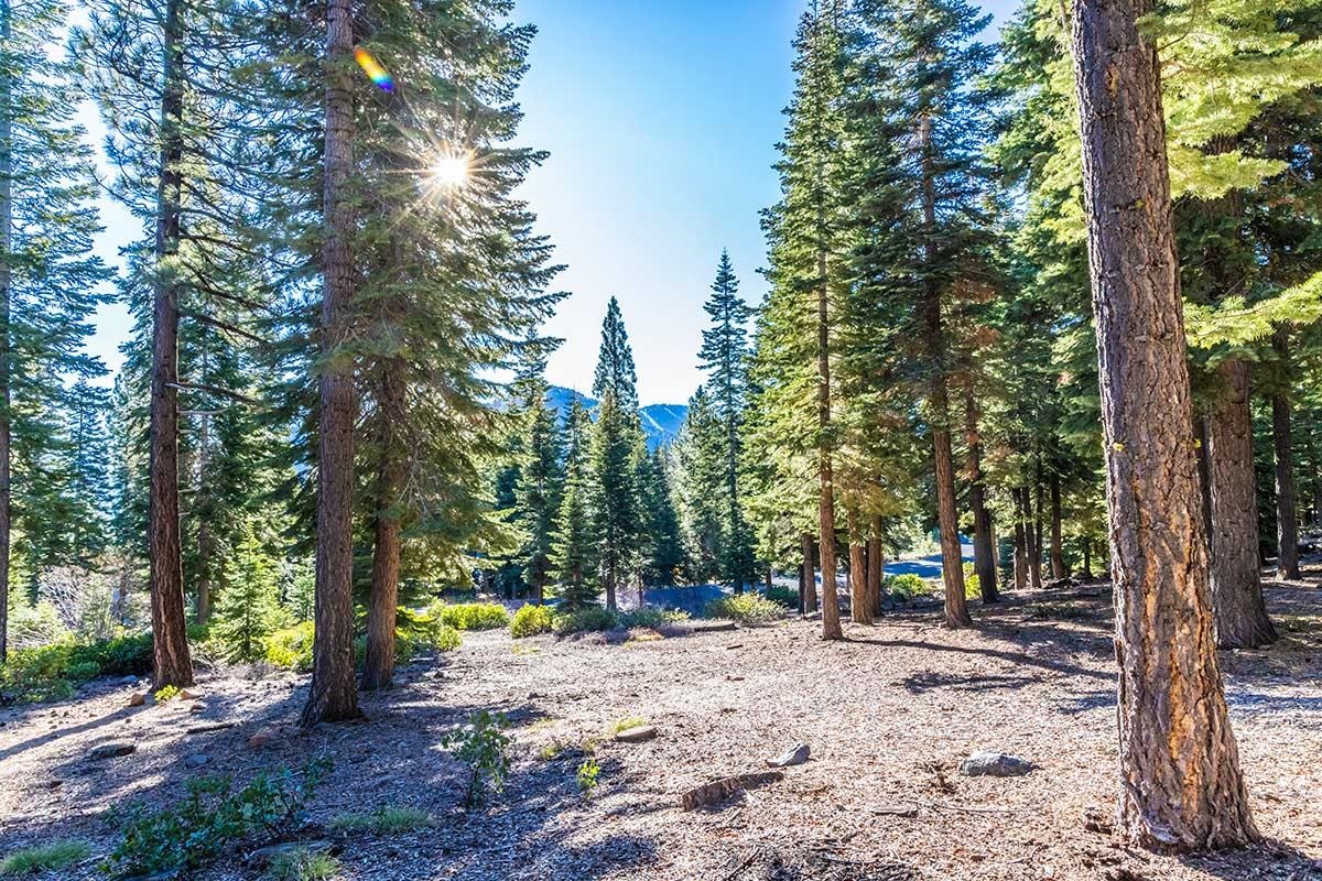 Image for 8331 Valhalla Drive, Truckee, CA 96161