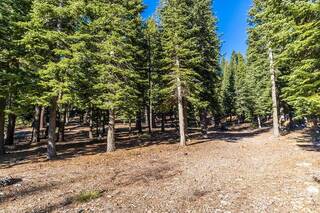 Listing Image 4 for 8331 Valhalla Drive, Truckee, CA 96161
