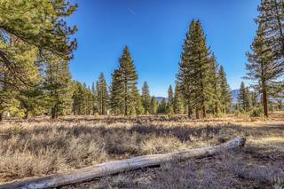 Listing Image 11 for 12720 Horizon Drive, Truckee, CA 96161