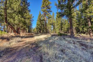 Listing Image 9 for 12720 Horizon Drive, Truckee, CA 96161