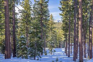 Listing Image 3 for 9501 Cloudcroft Court, Truckee, CA 96161